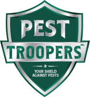 Pest Control Services in Toronto / pest trooper