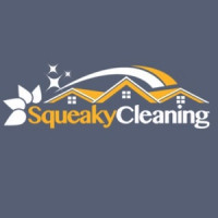 Squeaky Cleaning