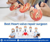 Top Heart valve surgeons of india