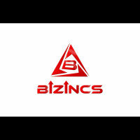 Bizincs Incorporate