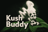 Buy Premium Weed Online in Canada