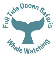 Full Tide Ocean Safaris
