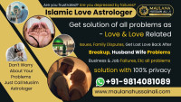 Maulana Hussain Ali: Islamic Love Astrologer & Relationship Guidance Expert