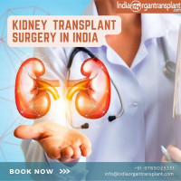 Best Price Cost of Kidney Transplant in India