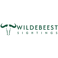 Wildebeest Sightings