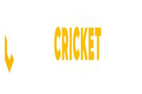 Mega Cricket World