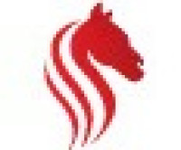 Stampede Auto - Used Cars Calgary