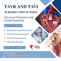 Transcatheter Aortic Valve Replacement Cost India