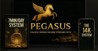 Pegasus: Beginner-Friendly Guide to Online Income Models