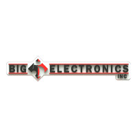 Big 5 Electronics