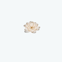 Lotus @ Queensway Medical