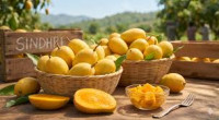 Fresh Mango Price in Pakistan