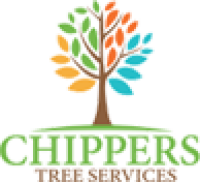 Tree Pruning Near Me Dallas