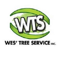 Arborist service muskoka