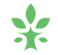 Mc Queens Forestry Svc
