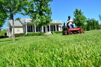 Everything In One Property Care