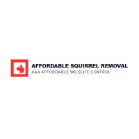 AFFORDABLE SQUIRREL REMOVAL