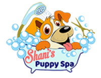 Best Dog Grooming Services Newmarket