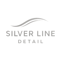 Silver Line Detail