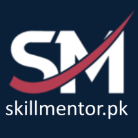 SkillMentor Digital Skills Training Institute