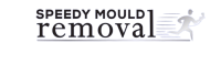 Speedy Mould Removal - Attic & Crawl Space Mould Remediation in Victoria BC
