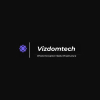 Vizdomtech Pvt Ltd